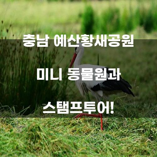 충남 예산황새공원 미니 동물원과 스탬프투어!