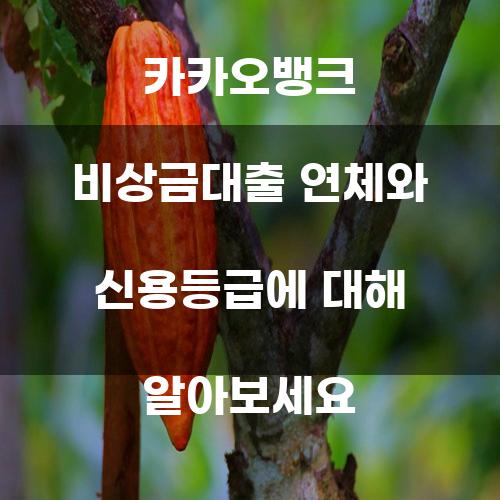 카카오뱅크 비상금대출 연체와 신용등급에 대해 알아보세요
