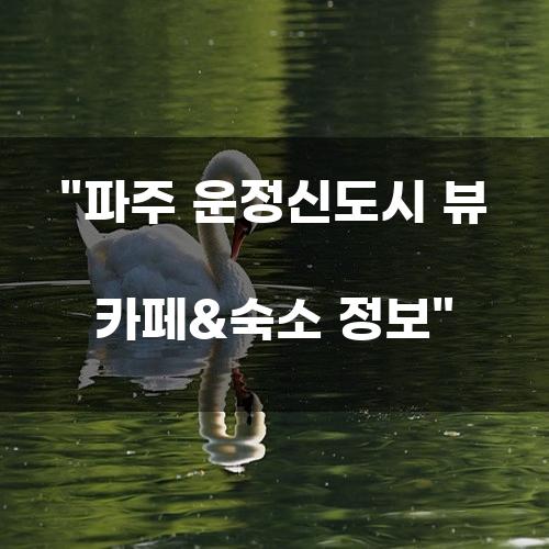 파주 운정신도시 뷰 카페&숙소 정보