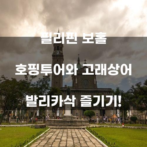필리핀 보홀 호핑투어와 고래상어 발리카삭 즐기기!