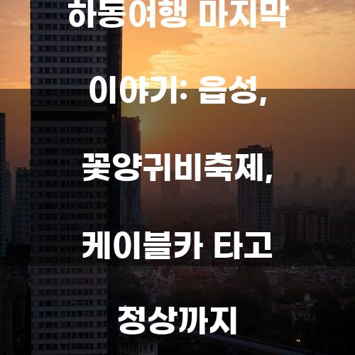 하동여행 마지막 이야기: 읍성, 꽃양귀비축제, 케이블카 타고 정상까지