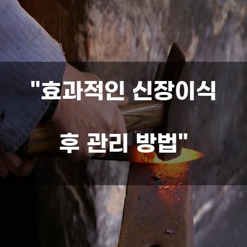 효과적인 신장이식 후 관리 방법