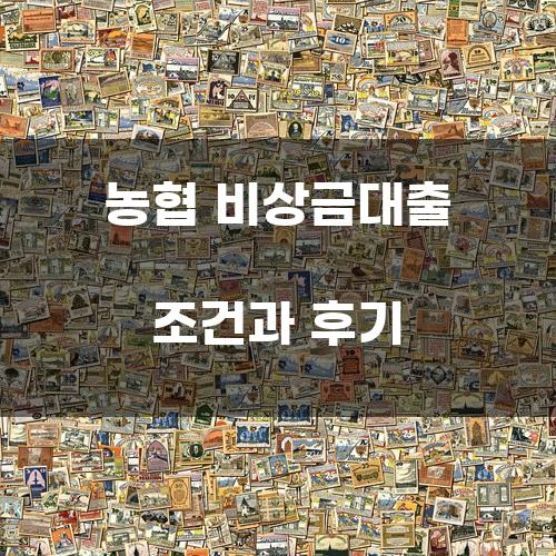 농협 비상금대출 조건과 후기
