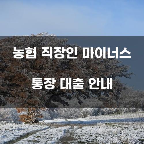 농협 직장인 마이너스 통장 대출 안내