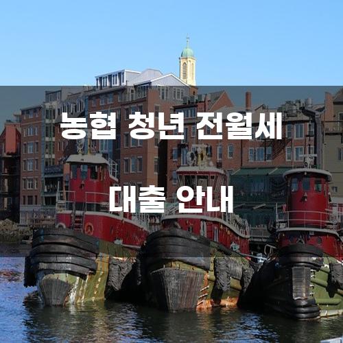 농협 청년 전월세 대출 안내