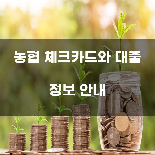 농협 체크카드와 대출 정보 안내