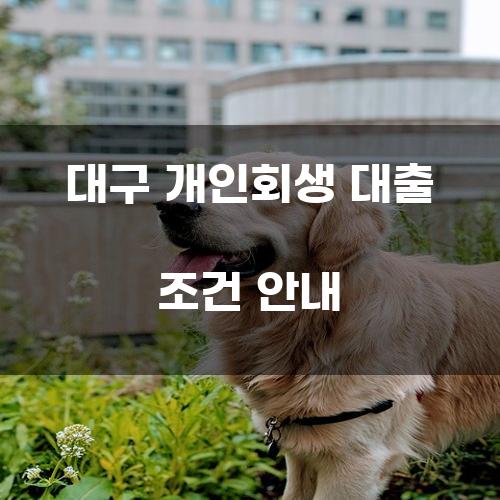 대구 개인회생 대출 조건 안내