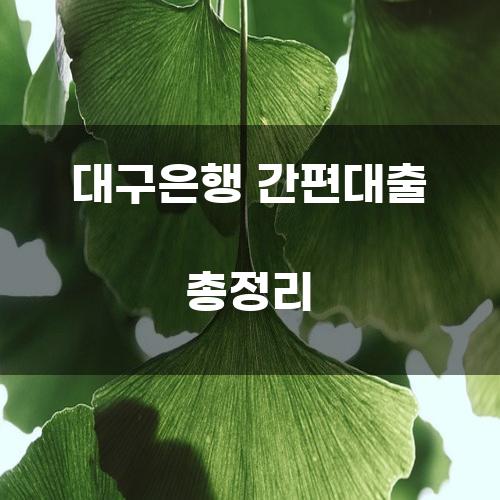 대구은행 간편대출 총정리