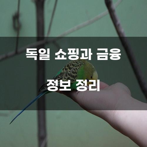 독일 쇼핑과 금융 정보 정리