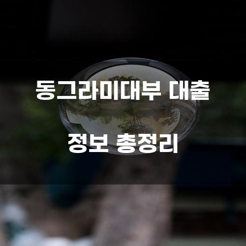 동그라미대부 대출 정보 총정리