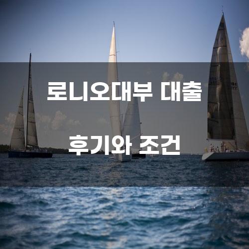 로니오대부 대출 후기와 조건