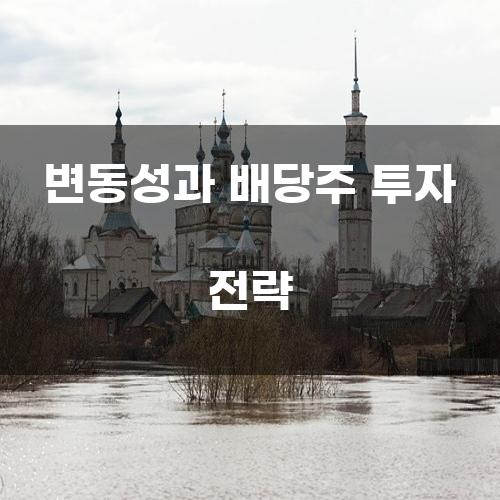 변동성과 배당주 투자 전략