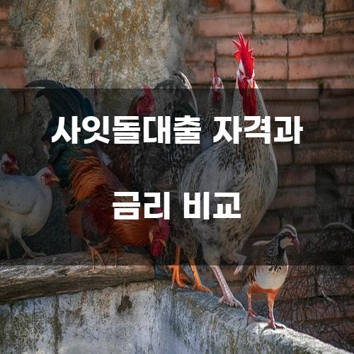 사잇돌대출 자격과 금리 비교