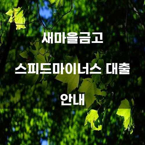 새마을금고 스피드마이너스 대출 안내