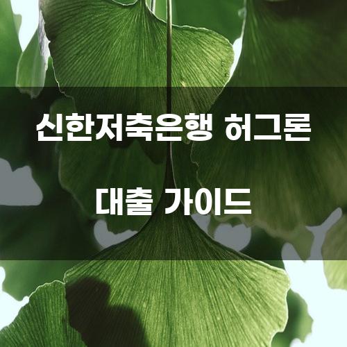 신한저축은행 허그론 대출 가이드
