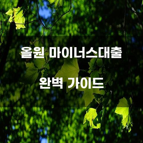 올원 마이너스대출 완벽 가이드