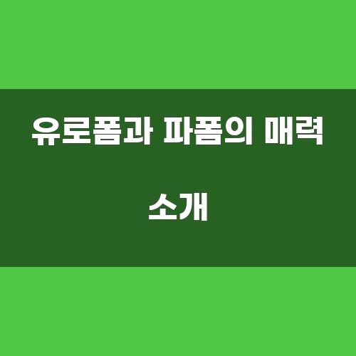 유로폼과 파폼의 매력 소개
