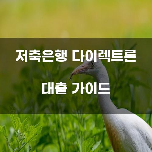 저축은행 다이렉트론 대출 가이드