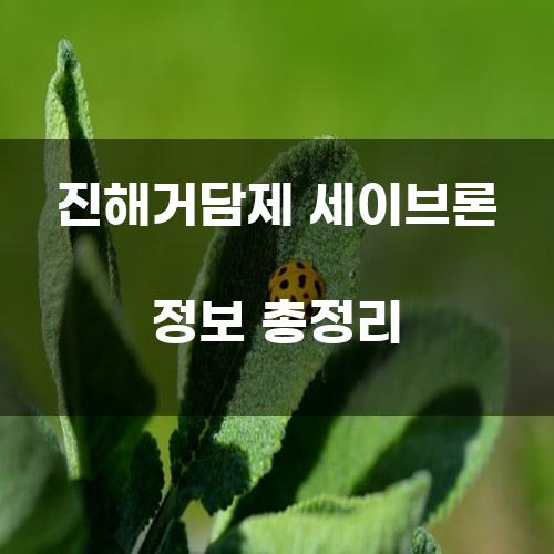 진해거담제 세이브론 정보 총정리