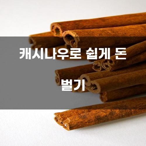캐시나우로 쉽게 돈 벌기