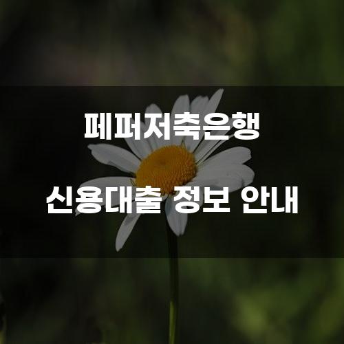 페퍼저축은행 신용대출 정보 안내