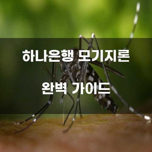 하나은행 모기지론 완벽 가이드