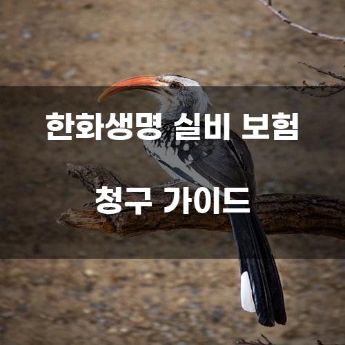 한화생명 실비 보험 청구 가이드