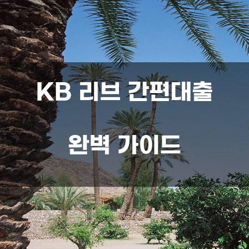 KB 리브 간편대출 완벽 가이드