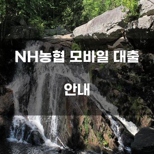 NH농협 모바일 대출 안내