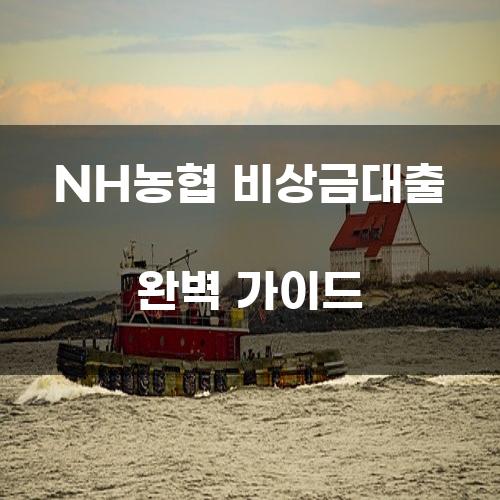 NH농협 비상금대출 완벽 가이드