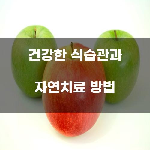 건강한 식습관과 자연치료 방법