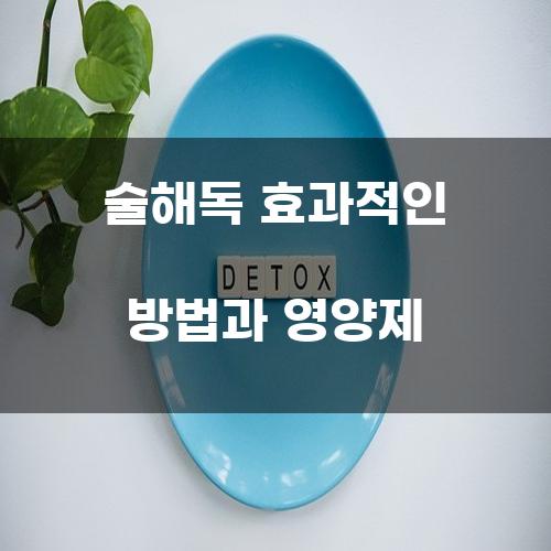 술해독 효과적인 방법과 영양제