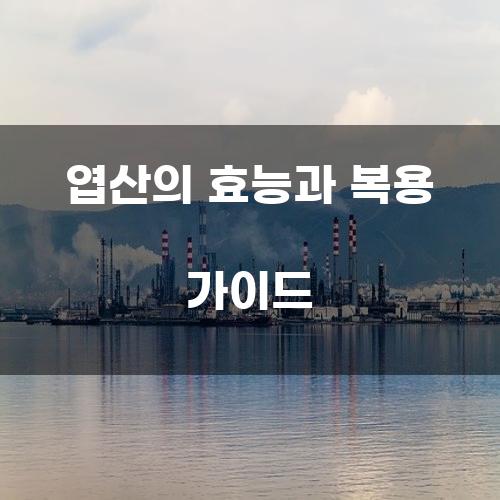 엽산의 효능과 복용 가이드