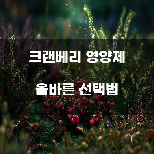 크랜베리 영양제 올바른 선택법