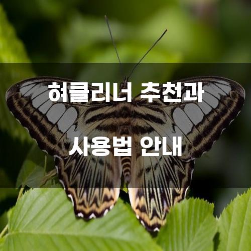 혀클리너 추천과 사용법 안내