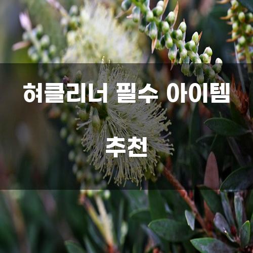 혀클리너 필수 아이템 추천