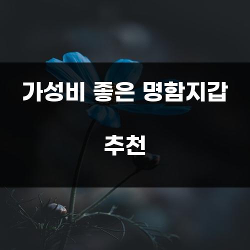 가성비 좋은 명함지갑 추천