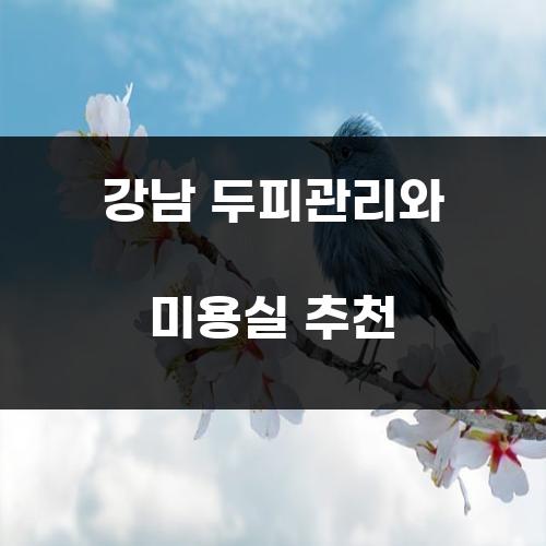 강남 두피관리와 미용실 추천
