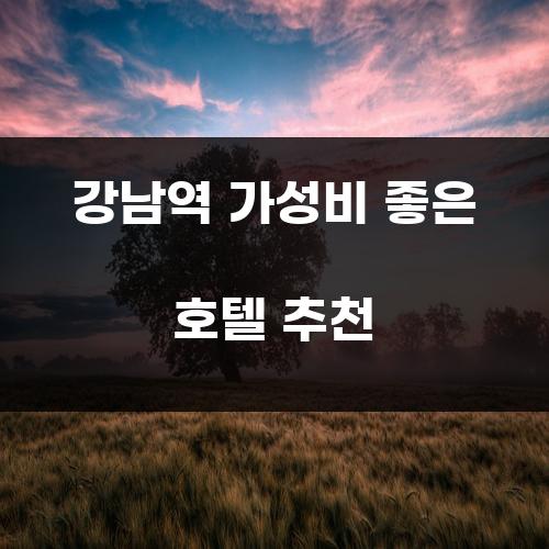 강남역 가성비 좋은 호텔 추천
