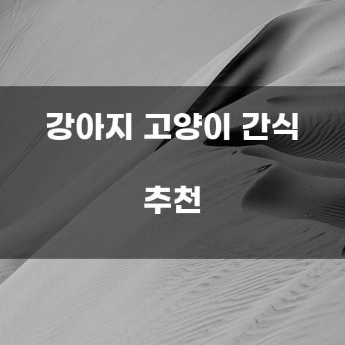 강아지 고양이 간식 추천