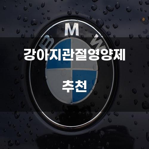 강아지관절영양제 추천