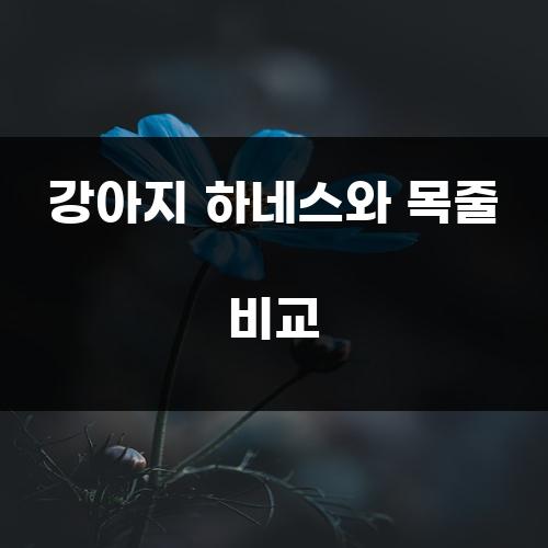 강아지 하네스와 목줄 비교
