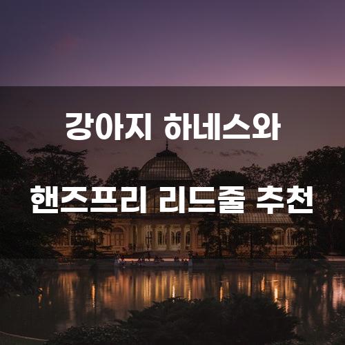 강아지 하네스와 핸즈프리 리드줄 추천