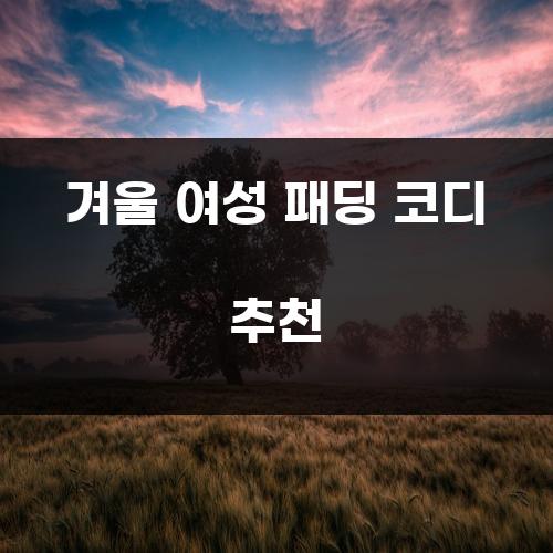 겨울 여성 패딩 코디 추천