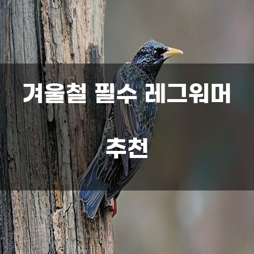 겨울철 필수 레그워머 추천