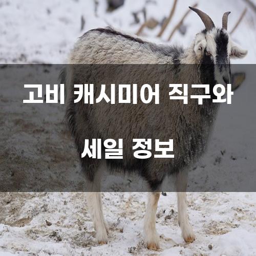 고비 캐시미어 직구와 세일 정보