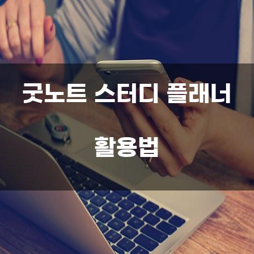 굿노트 스터디 플래너 활용법