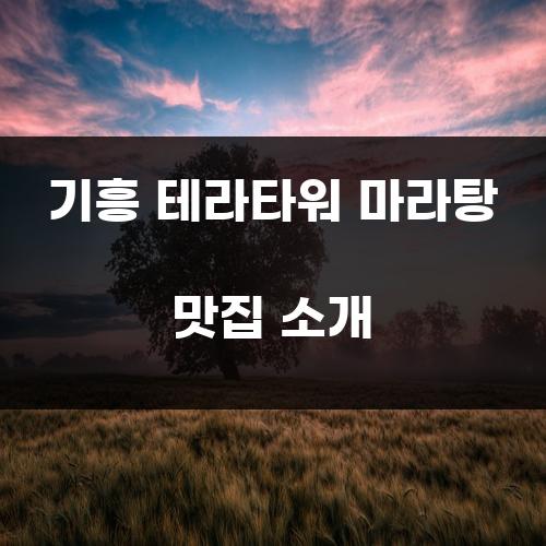 기흥 테라타워 마라탕 맛집 소개