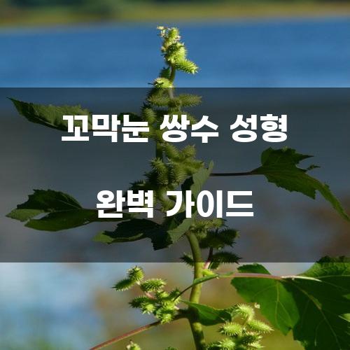 꼬막눈 쌍수 성형 완벽 가이드