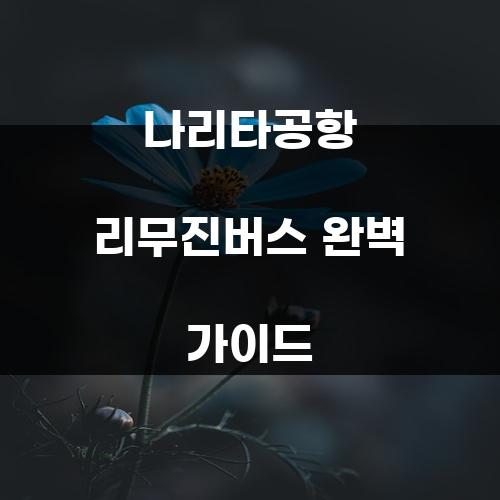 나리타공항 리무진버스 완벽 가이드